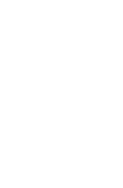icoon wit